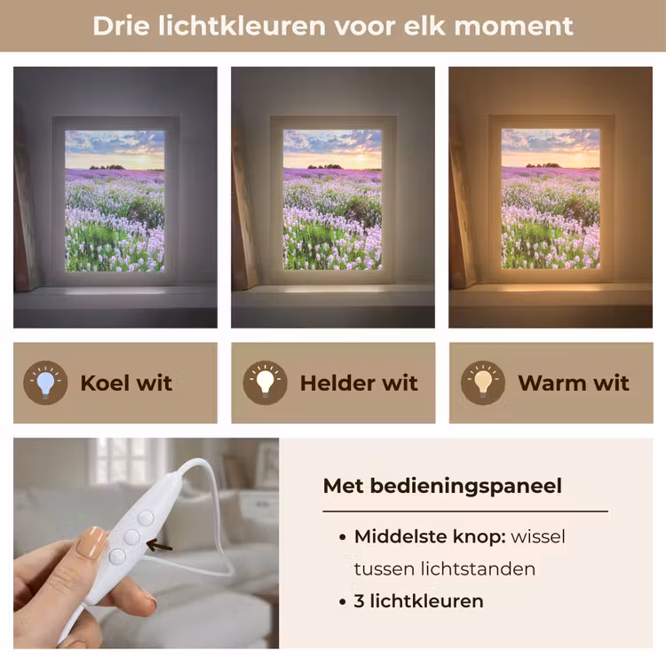 Bloemen - Lavendel - Paars - Lucht - Zonsondergang - Weide - Natuur Light Box met kabel (Tafellamp) klein -USP_lichtkleurNL