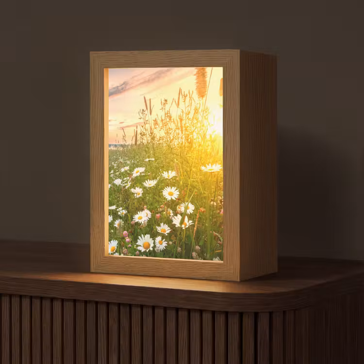 Bloemen - Madelief - Natuur - Zon - Horizon Light Box met kabel (Tafellamp) klein -z3d_website