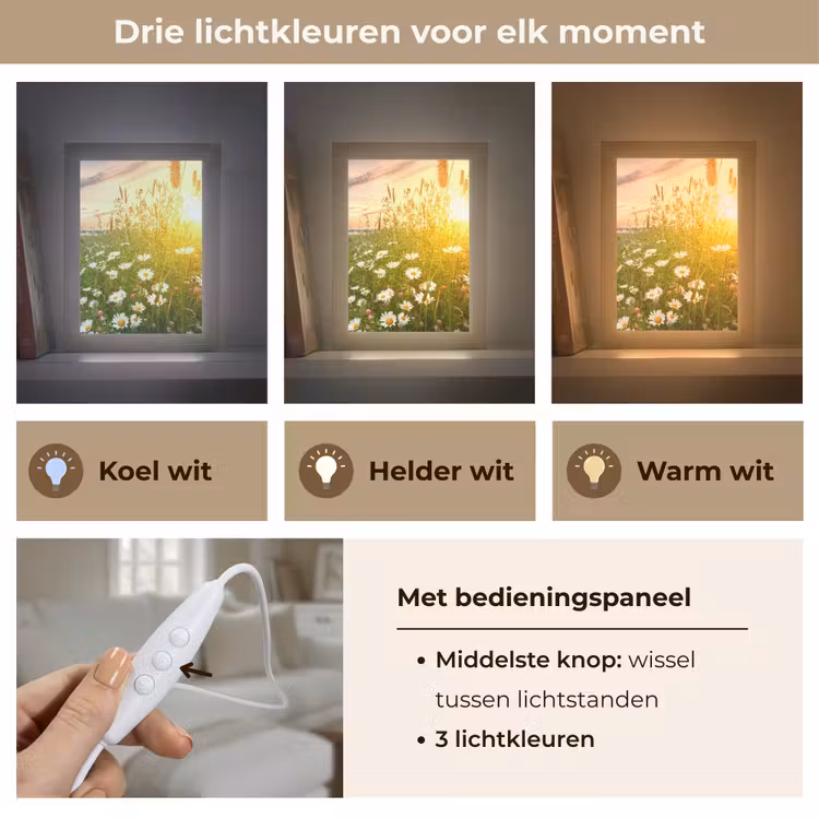 Bloemen - Madelief - Natuur - Zon - Horizon Light Box met kabel (Tafellamp) klein -USP_lichtkleurNL