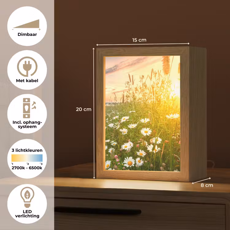 Bloemen - Madelief - Natuur - Zon - Horizon Light Box met kabel (Tafellamp) klein -USP_NL