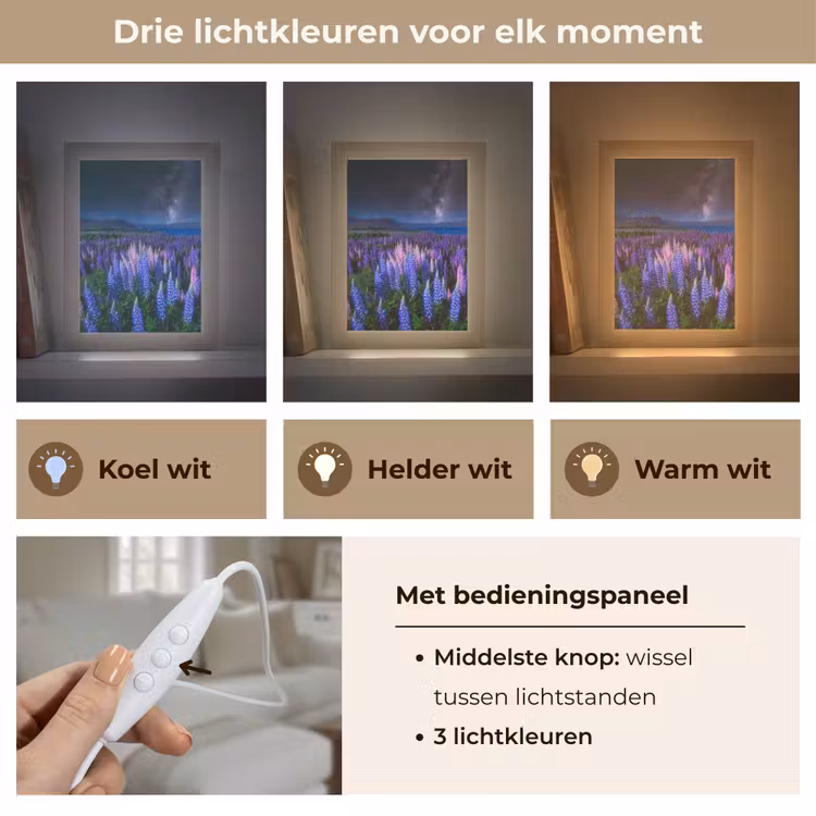 Bloemen - Nacht - Lupine - Sterrenhemel - Paars - Natuur Light Box met kabel (Tafellamp) klein -USP_lichtkleurNL