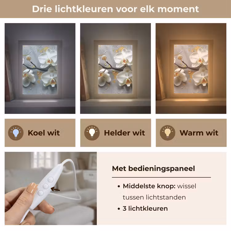 Bloemen - Orchidee - Abstract - Modern Light Box met kabel (Tafellamp) klein -USP_lichtkleurNL