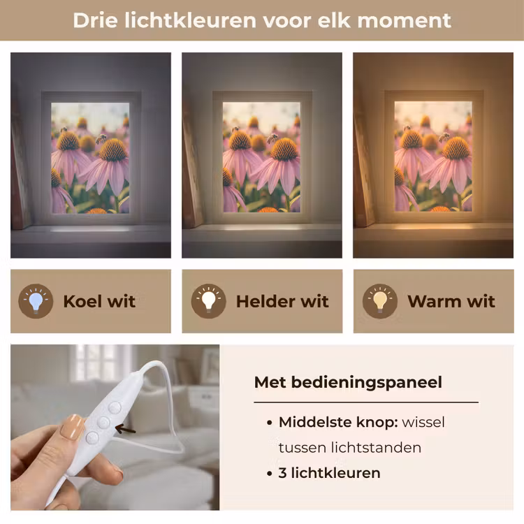 Bloemen - Paars - Bijen Light Box met kabel (Tafellamp) klein -USP_lichtkleurNL