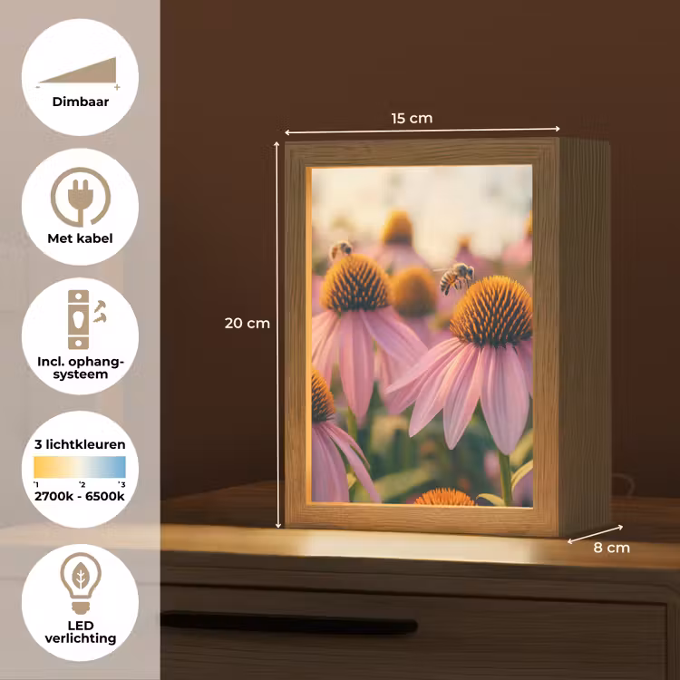 Bloemen - Paars - Bijen Light Box met kabel (Tafellamp) klein -USP_NL