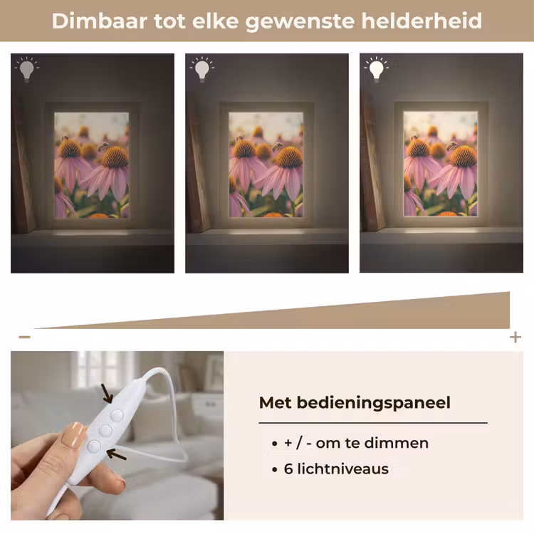 Bloemen - Paars - Bijen Light Box met kabel (Tafellamp) klein -USP_dimbaarNL