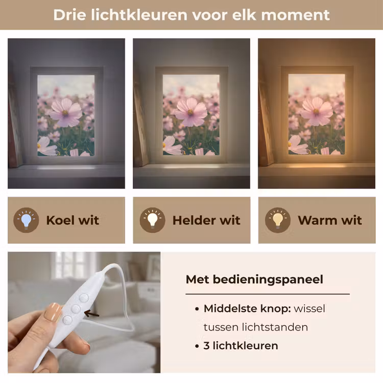 Bloemen - Paars - Wazig Light Box met kabel (Tafellamp) klein -USP_lichtkleurNL
