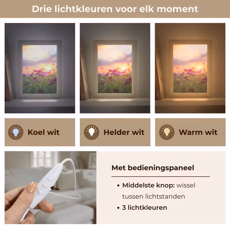 Bloemen - Roze - Zonsondergang - Natuur - Weide - Horizon Light Box met kabel (Tafellamp) klein -USP_lichtkleurNL