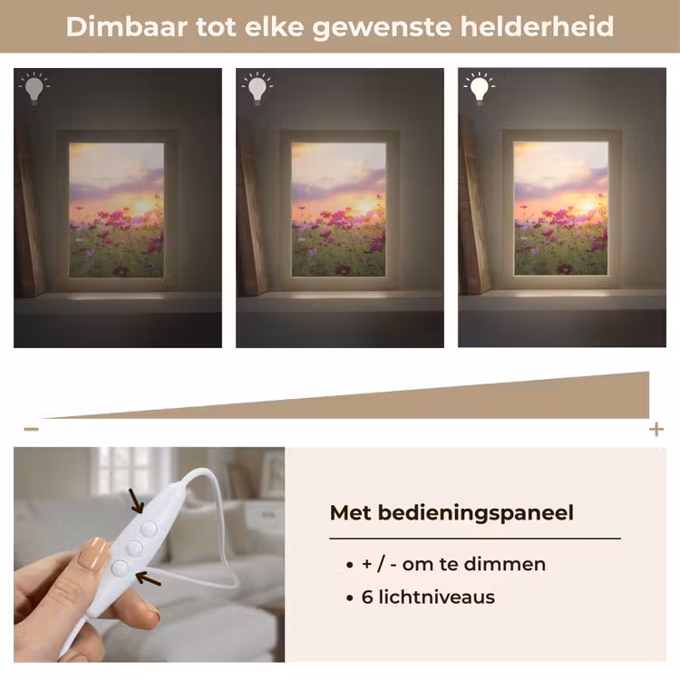 Bloemen - Roze - Zonsondergang - Natuur - Weide - Horizon Light Box met kabel (Tafellamp) klein -USP_dimbaarNL
