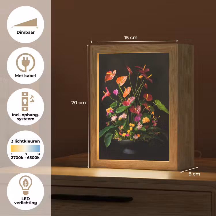 Bloemen - Vaas - Kleurrijk Light Box met kabel (Tafellamp) klein -USP_NL