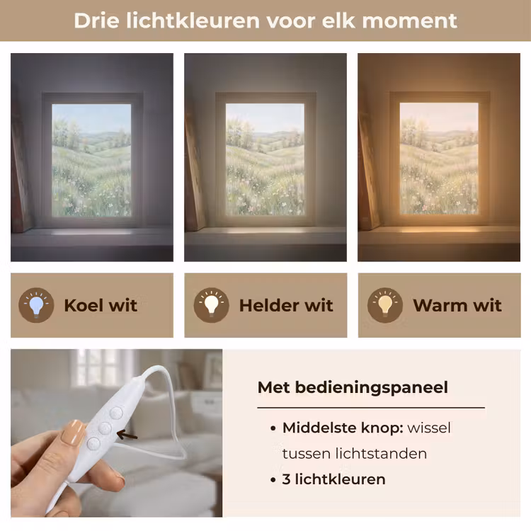 Bloemen veld - Bloemen - Groen Light Box met kabel (Tafellamp) klein -USP_lichtkleurNL