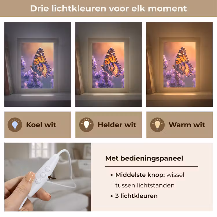 Bloemen - Vlinder - Lavendel - Bloem - Natuur Light Box met kabel (Tafellamp) klein -USP_lichtkleurNL