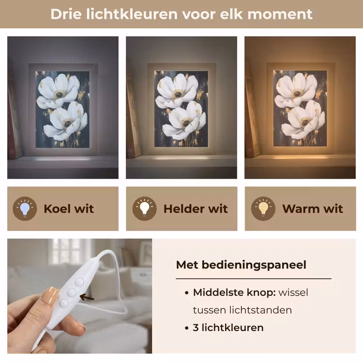 Bloemen - Wit - Abstract Light Box met kabel (Tafellamp) klein -USP_lichtkleurNL