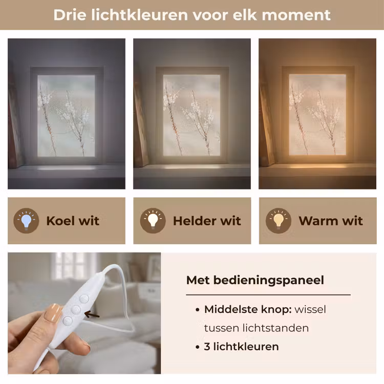 Bloemen - Wit - Planten Light Box met kabel (Tafellamp) klein -USP_lichtkleurNL