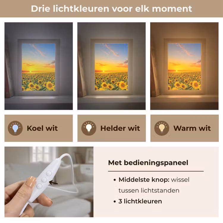 Bloemen - Zonnebloem - Zonsondergang - Nacht - Oranje Light Box met kabel (Tafellamp) klein -USP_lichtkleurNL