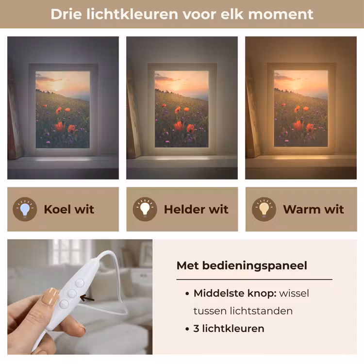 Bloemenveld - Gras - Bloemen - Planten - Zonsondergang - Oranje Light Box met kabel (Tafellamp) klein -USP_lichtkleurNL