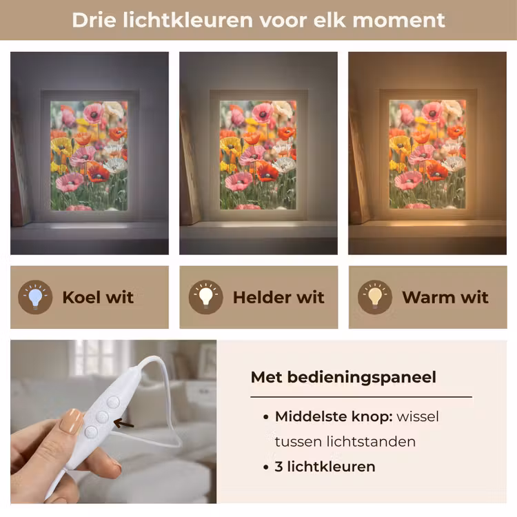 Bloemenveld - Klaprozen - Kleurrijk Light Box met kabel (Tafellamp) klein -USP_lichtkleurNL