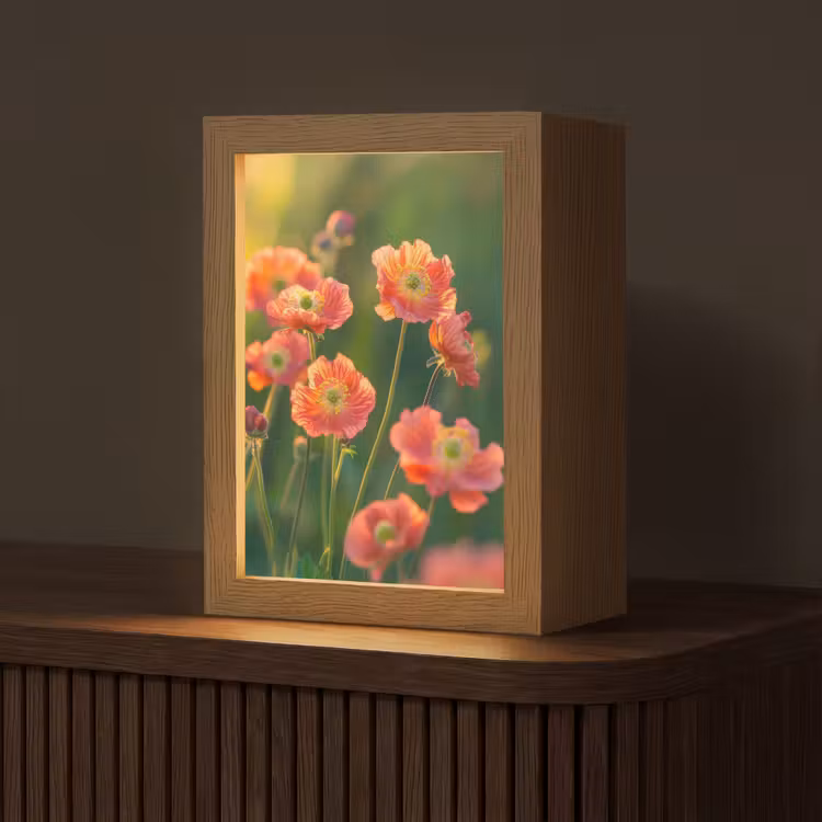 Bloemenveld - Zonnestralen - Oranje Light Box met kabel (Tafellamp) klein -z3d_website