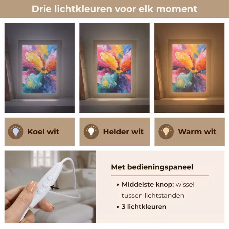 Bloemexplosie - Veelkleurig - Bewegend Light Box met kabel (Tafellamp) klein -USP_lichtkleurNL