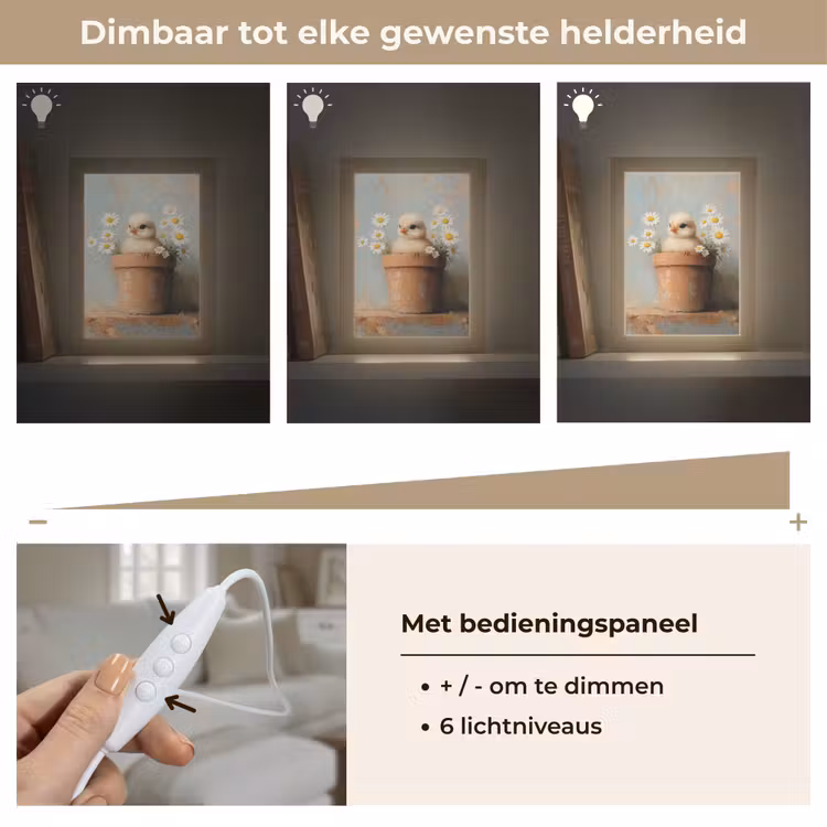 Bloempot - Kuiken - Bloemetjes Light Box met kabel (Tafellamp) klein -USP_dimbaarNL