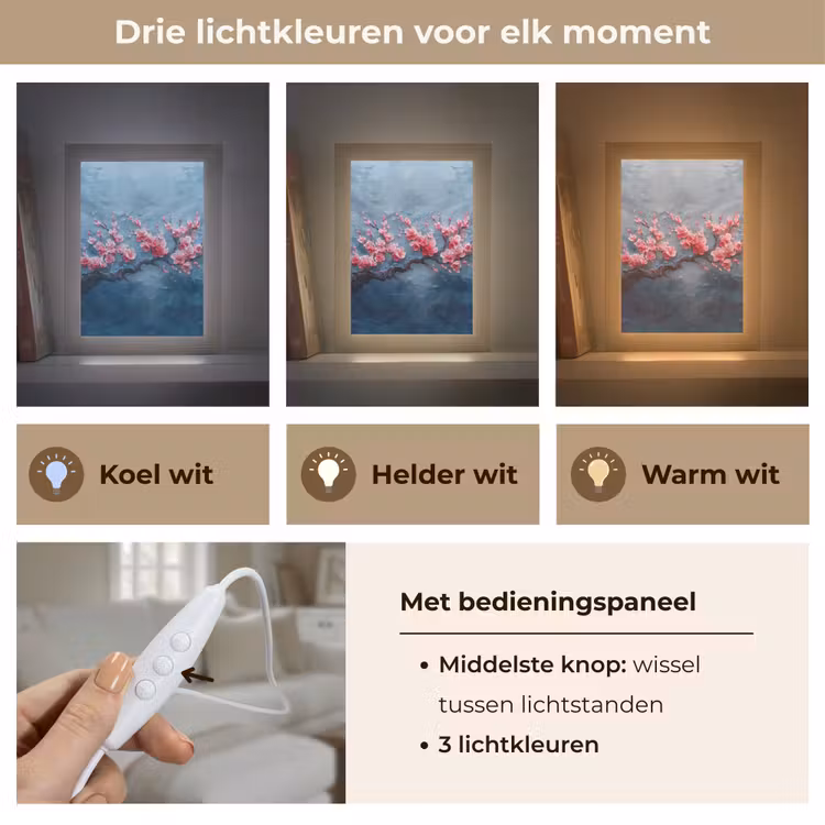 Bloesem - Bloem - Roze - Tak Light Box met kabel (Tafellamp) klein -USP_lichtkleurNL