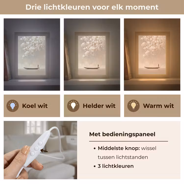 Bloesems - Wit - Boot - Minimalistisch Light Box met kabel (Tafellamp) klein -USP_lichtkleurNL
