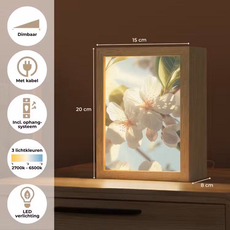 Bloesems - Wit - Zonnestralen - Bloemblaadjes Light Box met kabel (Tafellamp) klein -USP_NL