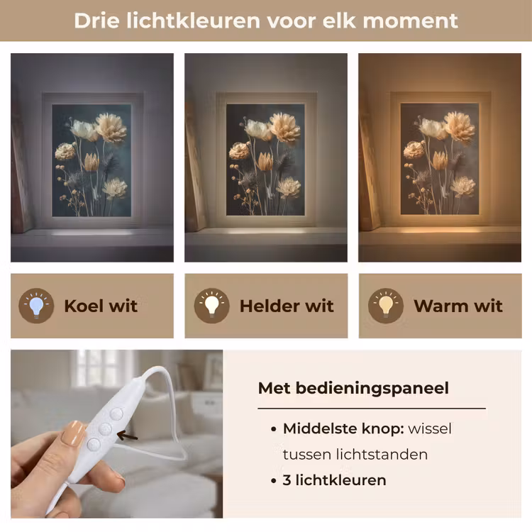 Boeket - Bloemen - Licht - Zwart Light Box met kabel (Tafellamp) klein -USP_lichtkleurNL