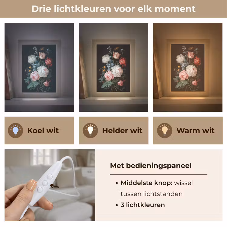 Boeket - Kleurrijk - Klassiek Light Box met kabel (Tafellamp) klein -USP_lichtkleurNL