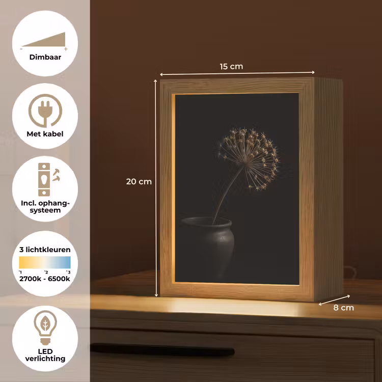 Bol - Gedroogd - Vaas - Zwart Light Box met kabel (Tafellamp) klein -USP_NL