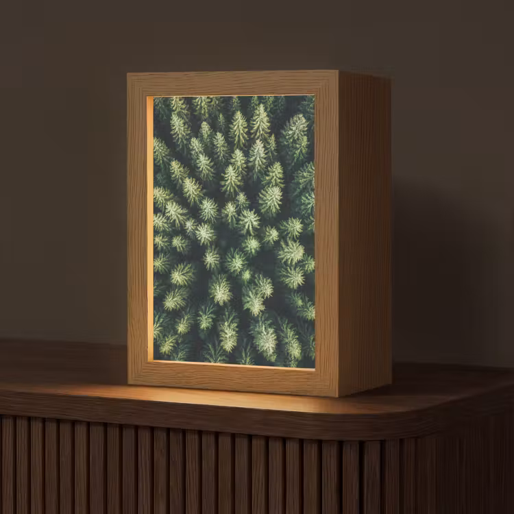 Bomen - Naaldwoud - Structuur Light Box met kabel (Tafellamp) klein -z3d_website