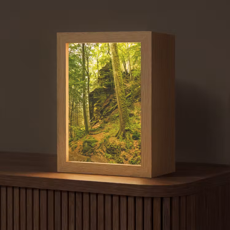 Bomen - Steen - Bos - Natuur - Planten Light Box met kabel (Tafellamp) klein -z3d_website