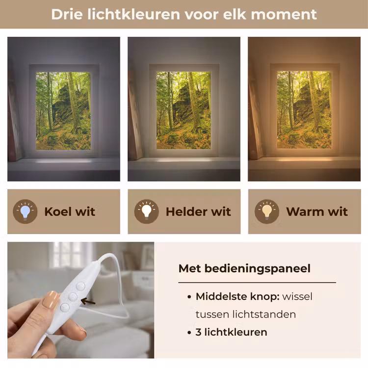 Bomen - Steen - Bos - Natuur - Planten Light Box met kabel (Tafellamp) klein -USP_lichtkleurNL