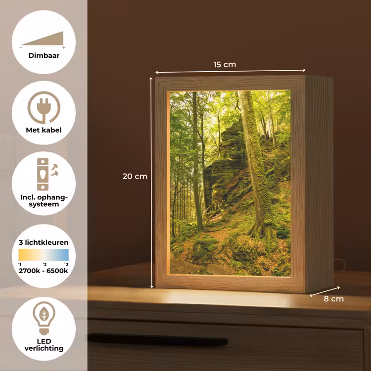 Bomen - Steen - Bos - Natuur - Planten Light Box met kabel (Tafellamp) klein -USP_NL