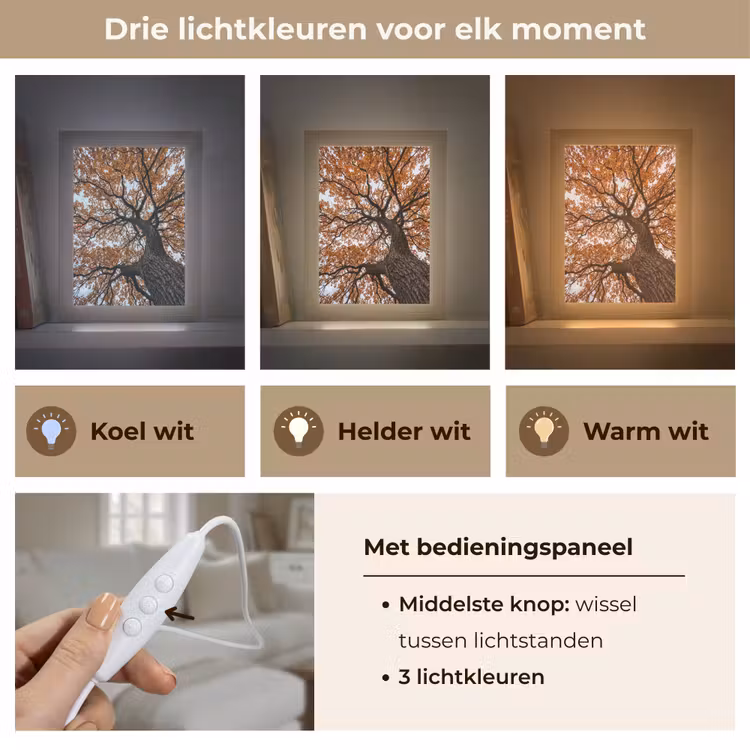 Boom - Bladerdak - Herfst - Oranje - Sfeervol Light Box met kabel (Tafellamp) klein -USP_lichtkleurNL