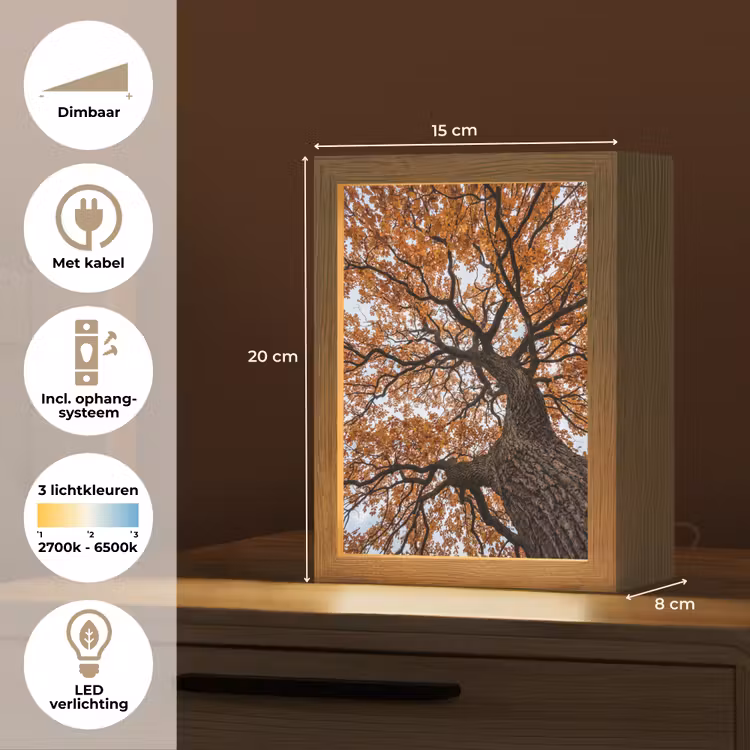 Boom - Bladerdak - Herfst - Oranje - Sfeervol Light Box met kabel (Tafellamp) klein -USP_NL