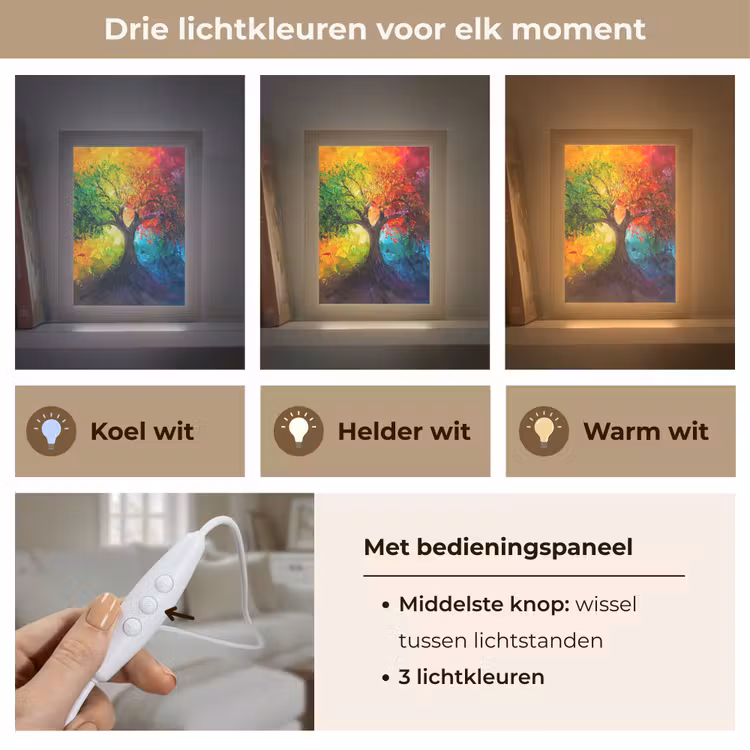 Boom - Kleurrijk - Modern - Abstract Light Box met kabel (Tafellamp) klein -USP_lichtkleurNL