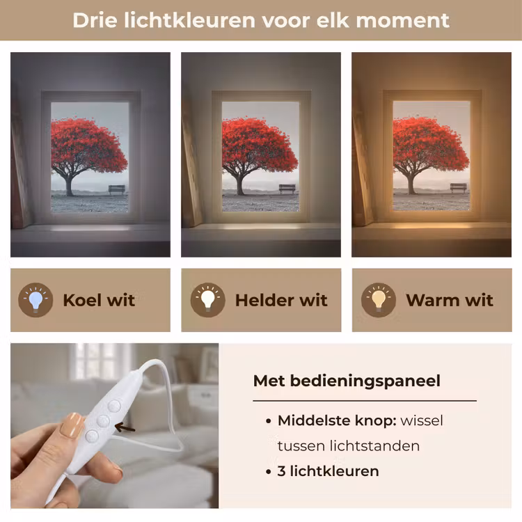 Boom - Rood - Natuur - Zwart wit Light Box met kabel (Tafellamp) klein -USP_lichtkleurNL