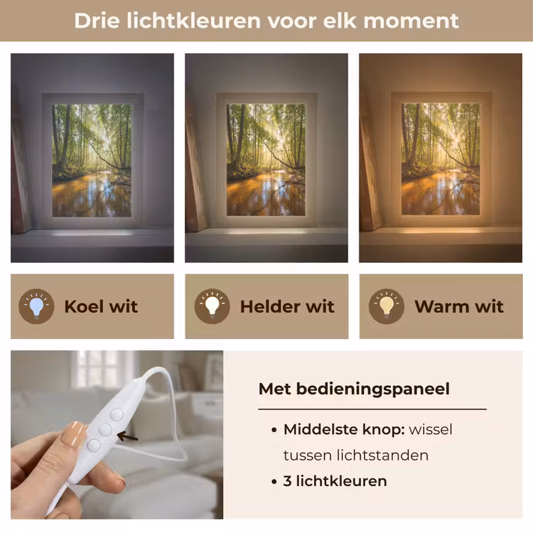Bos - Beek - Zonlicht - Natuur - Groen Light Box met kabel (Tafellamp) klein -USP_lichtkleurNL