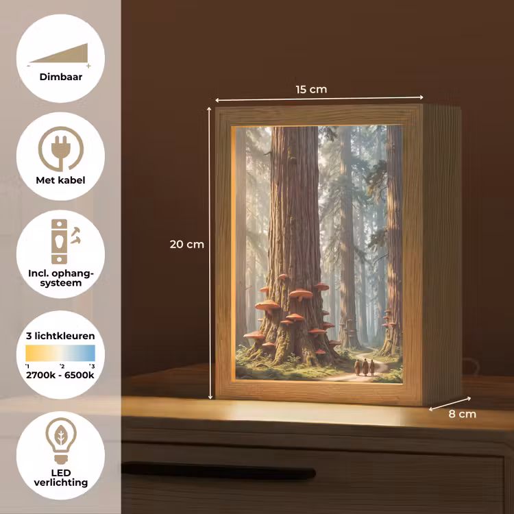 Tafellamp - Bos - Bomen - Natuur - Bos - Bomen - Natuur Light Box met kabel (Tafellamp) klein