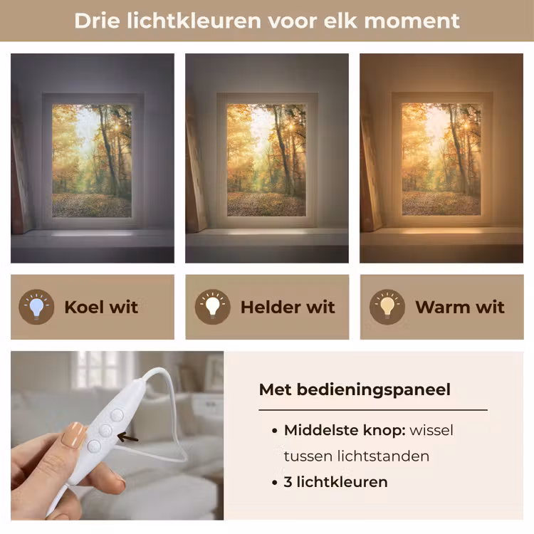 Bos - Herfst - Zon - Landschap - Natuur - Bomen - Bladeren Light Box met kabel (Tafellamp) klein -USP_lichtkleurNL