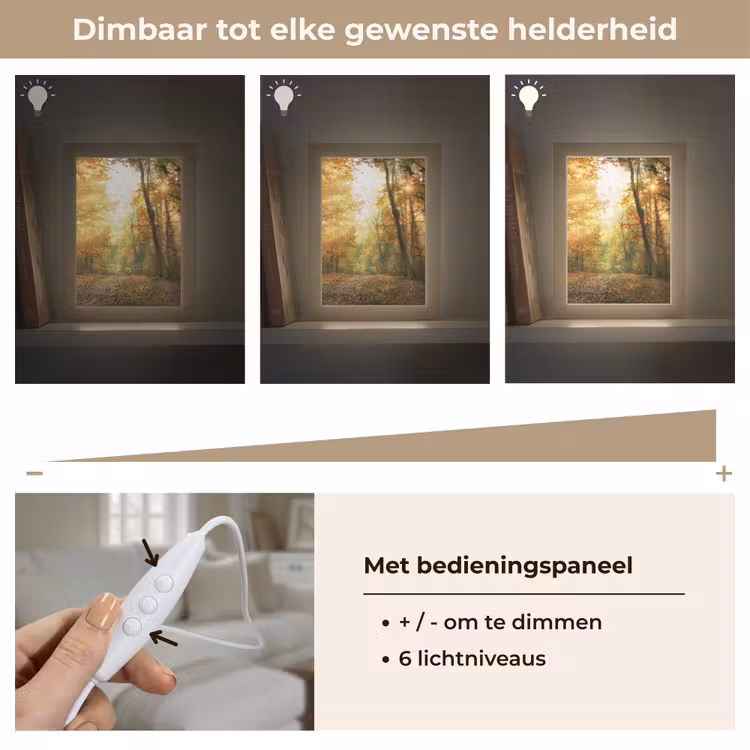 Bos - Herfst - Zon - Landschap - Natuur - Bomen - Bladeren Light Box met kabel (Tafellamp) klein -USP_dimbaarNL