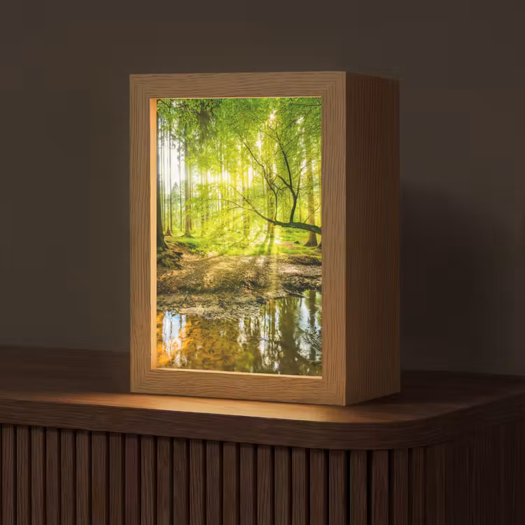 Bos - Landschap - Water - Bomen - Zon - Groen - Natuur Light Box met kabel (Tafellamp) klein -z3d_website