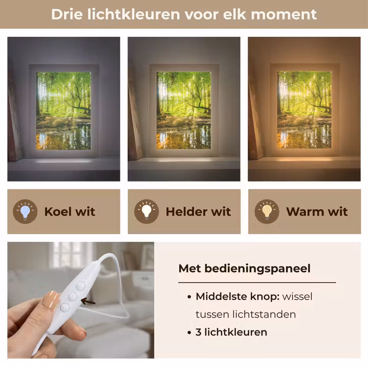 Bos - Landschap - Water - Bomen - Zon - Groen - Natuur Light Box met kabel (Tafellamp) klein -USP_lichtkleurNL