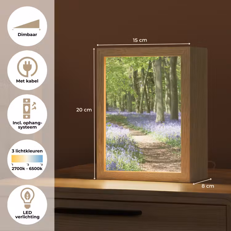 Bos - Pad - Bloemen - Paars - Groen - Natuur Light Box met kabel (Tafellamp) klein -USP_NL
