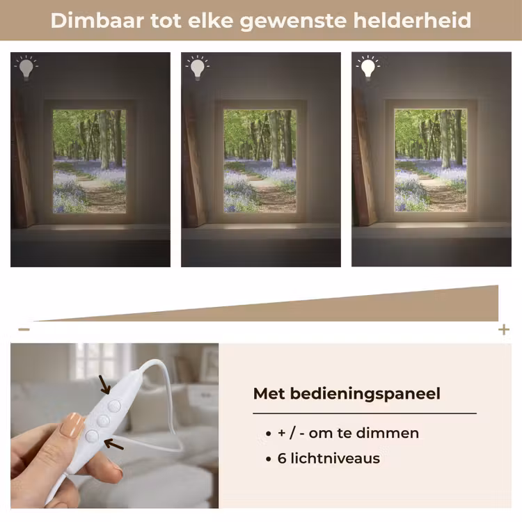 Bos - Pad - Bloemen - Paars - Groen - Natuur Light Box met kabel (Tafellamp) klein -USP_dimbaarNL