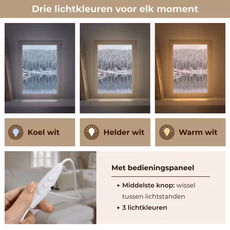 Bos - Reflectie - Meer - Winter - Serene Light Box met kabel (Tafellamp) klein -USP_lichtkleurNL
