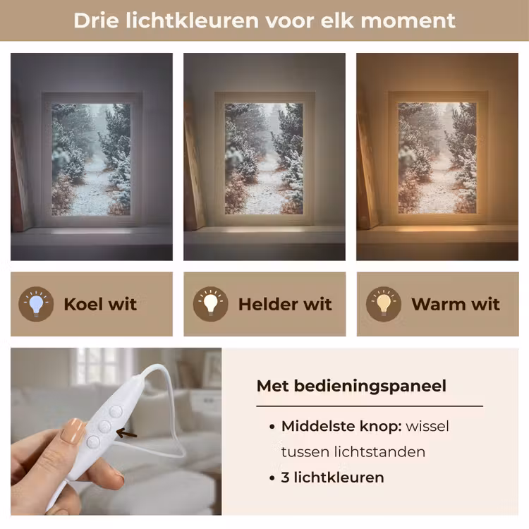 Bos - Winter - Bomen - Natuur - Pad - Sneeuw Light Box met kabel (Tafellamp) klein -USP_lichtkleurNL