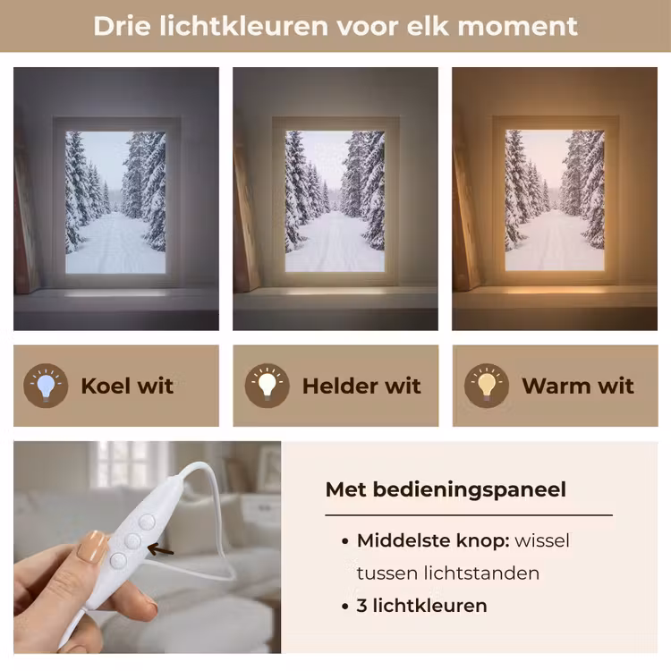 Bos - Winter - Sneeuw - Pad - Natuur Light Box met kabel (Tafellamp) klein -USP_lichtkleurNL