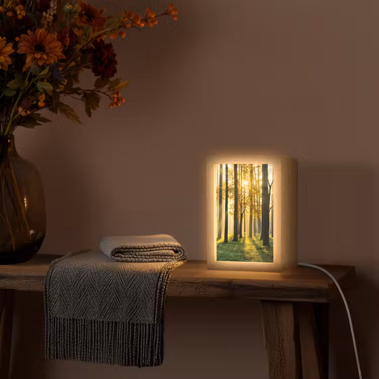 Bos - Zon - Bomen - Gras - Landschap - Natuur Light Box met kabel (Tafellamp) klein -sfeer4