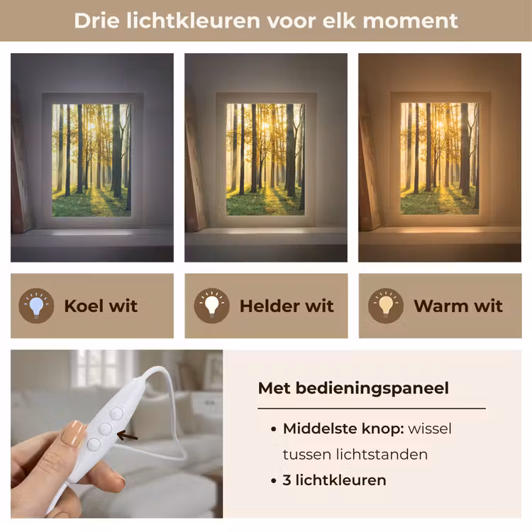 Bos - Zon - Bomen - Gras - Landschap - Natuur Light Box met kabel (Tafellamp) klein -USP_lichtkleurNL